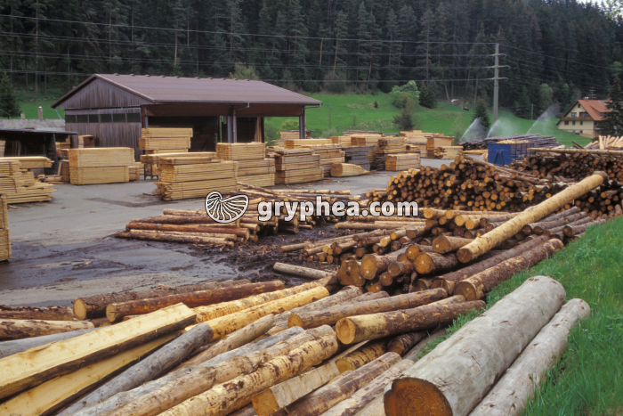 Scierie avec son parc à bois - gryphea.com